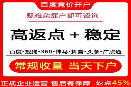 电商行业SEM运营的挑战与成功案例